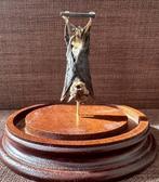 Chauve-souris Support de corps entier pour taxidermie -, Collections, Collections Animaux