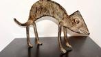Caméléon en bronze, art traditionnel africain - sculptuur -, Antiek en Kunst