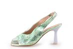 Zinda Sandalen in maat 40 Groen | 5% korting, Kleding | Dames, Schoenen, Verzenden, Sandalen of Muiltjes, Zinda, Gedragen