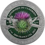 Kameroen. 200 Francs 2025 Cameroon 2000 Francs CFA Femina