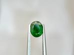 Zonder minimumprijs - 1 pcs Groen Tsavoriet - 3.09 ct -, Nieuw