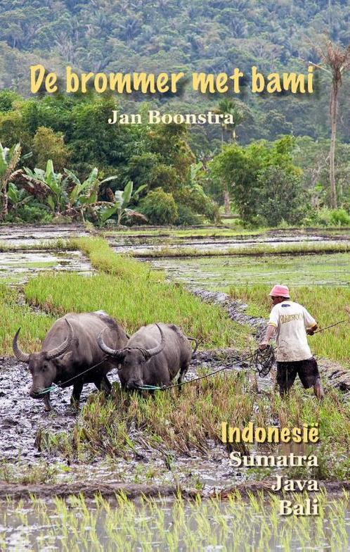 De brommer met bami 9789087598259 Jan Boonstra, Boeken, Reisverhalen, Gelezen, Verzenden