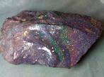 810 cts - Topkwaliteit - Museum - ENORME Honduras Black Opal, Collections, Minéraux & Fossiles