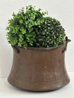 Bak - Koper, gepatineerd - 1850-1900 - Antieke