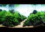 Landscape stone 10-15cm - aquarium decoratie stenen, Dieren en Toebehoren, Vissen | Aquaria en Toebehoren, Verzenden, Nieuw