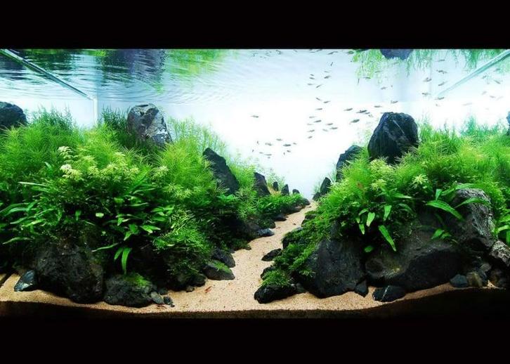 Landscape stone 10-15cm - aquarium decoratie stenen, Dieren en Toebehoren, Vissen | Aquaria en Toebehoren, Nieuw, Verzenden