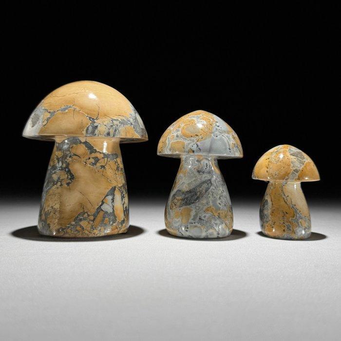 Sans prix de réserve - Superbe ensemble de 3 jaspe Maligano, Antiquités & Art, Art | Objets design