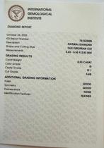 Sans Prix de Réserve - 1 pcs Diamant (Naturelle) - 0.53 ct -, Handtassen en Accessoires, Edelstenen, Nieuw