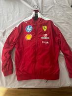 Ferrari - Formule 1 - 2025 - Teamkleding, Verzamelen, Nieuw