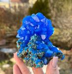 250 g Prachtige blauwe chalcantiet kristal op koperen