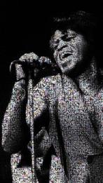 David Law - Crypto James Brown - Showtime