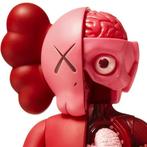 Kaws (1974) - Companion Blush Flayed (dissected)