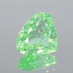 Paraiba toermalijn - 4.78 ct - Asian Institute of, Nieuw