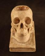 Beeld schedel - Sculpture, Memento Mori - 12 cm - Plâtre