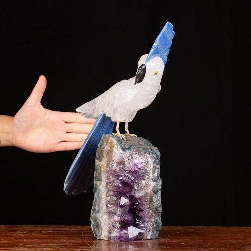 Met de hand gemaakt - Ongerepte papegaai, prachtig met de, Verzamelen, Mineralen en Fossielen