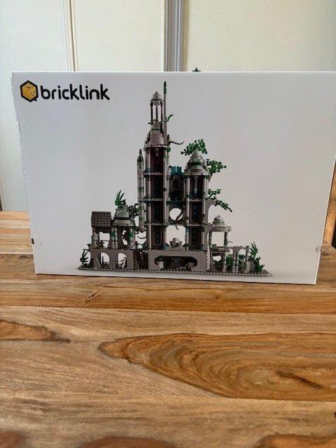 Lego Set - 910042 - BrickLink Designer Program - Lost City, Kinderen en Baby's, Speelgoed | Duplo en Lego