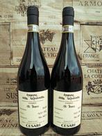 2019 Cesari, Il Bosco - Amarone della Valpolicella DOCG - 2, Nieuw