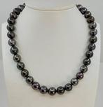 Halsketting 11x12,5 mm ronde pauwen Tahitiaanse parels, Handtassen en Accessoires, Kettingen, Nieuw