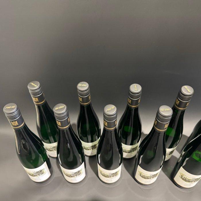 2018 Von Hövel, Saar Riesling Trocken - Moezel - 12 Flessen, Verzamelen, Wijnen