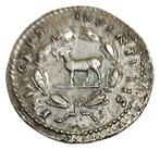 Romeinse Rijk. Titus for Domitian. Denarius Rome 80-81 AD