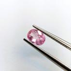 Zonder Minimumprijs - 1 pcs  Roze Spinel  - 0.80 ct, Nieuw