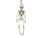 Halloween Skelet 40cm, Verzenden, Nieuw