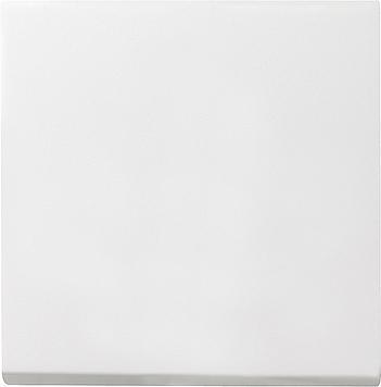 Gira System 55 Elément de commande/appareil de commutation à, Doe-het-zelf en Bouw, Elektriciteit en Kabels, Verzenden