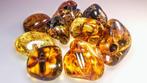 Baltische Amberstenen - Lot - Barnsteen - 5 cm - 5 mm