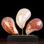 Mother-of-Pearl Trinity – Triptyque – Coquillages japonais -, Antiquités & Art