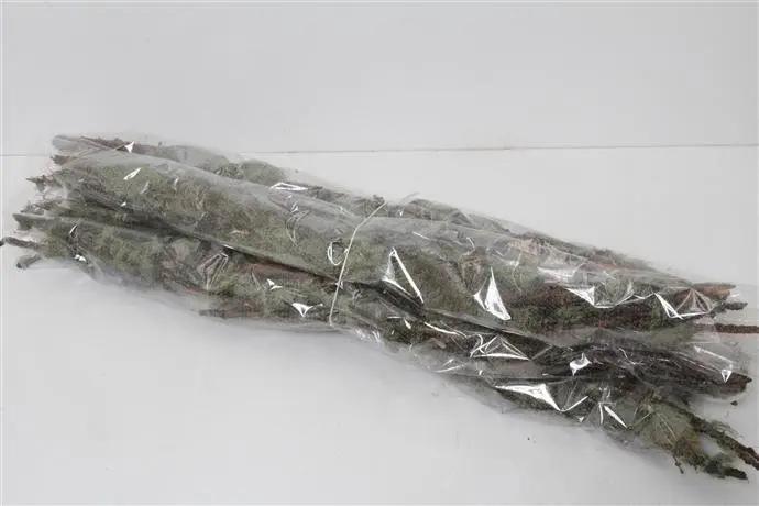 Lychenmos Greymos op tak Naturel 500 gram per bundel, Hobby en Vrije tijd, Knutselen, Nieuw