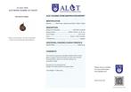 Geen reservering - ALGT gecertificeerd - Grote en exclusieve, Verzamelen