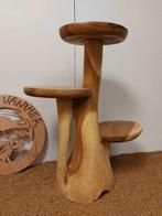 Table à plantes - Teck - Support pour plantes en teck, Antiek en Kunst