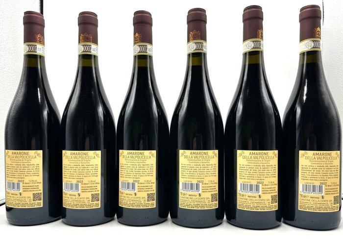 2022 Cantine della Corte - Amarone della Valpolicella DOCG -, Collections, Vins