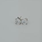 Zonder Minimumprijs - Oorbellen - 14 karaat Witgoud -, Nieuw