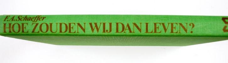 Hoe zouden we dan leven 9789026616334 Francis A. Schaeffer, Boeken, Overige Boeken, Gelezen, Verzenden