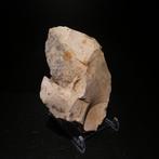 Neolithisch Sikkel. 10 cm lang. Mes - 5000 v.Chr. Bijl