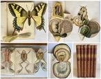 Collated - The Nature Book Volumes 1-6 - 1920, Antiek en Kunst