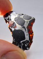 Pallasiet meteoriet, NWA 16774. Geen minimumprijs. - 3.42 g