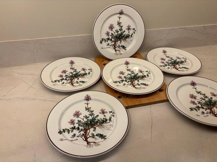 Villeroy & Boch - Ontbijtbord (6) - Botanica - vitro, Antiek en Kunst, Antiek | Meubels | Tafels