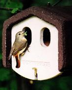 NIEUW - Houtbeton nestkast 2 invliegopeningen, Dieren en Toebehoren, Vogels | Overige Vogels