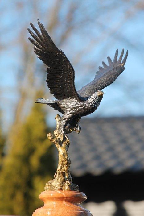 sculptuur, eagle in vlucht - 33 cm - brons marmer, Antiek en Kunst, Kunst | Designobjecten