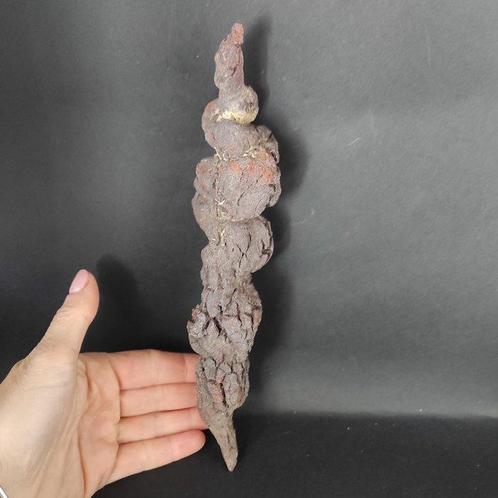 Coproliet Fossiel - Hoogte: 4 cm - Breedte: 5 cm- 280 190 -, Verzamelen, Mineralen en Fossielen
