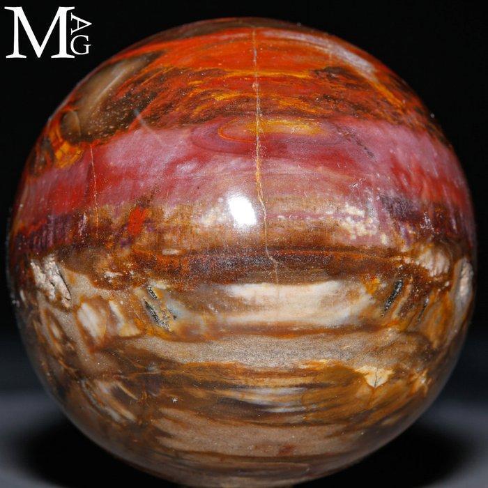 Bi-Color: Half Rood - Half Bruin Gepolijste fossiele houtbol, Verzamelen, Mineralen en Fossielen