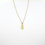 Ketting met hanger - 18 karaat Geel goud