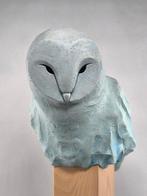 Federico Alibrio - Blue Barn owl - Skyward Gaze