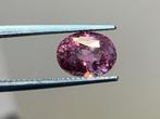 1 pcs Saffier - 2.09 ct - Nederlands Edelsteen Laboratorium, Nieuw