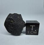 Meteoriet: El Menia L5, waargenomen in de herfst van 2023., Verzamelen
