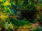Viet Ha Tran - Monet Garden