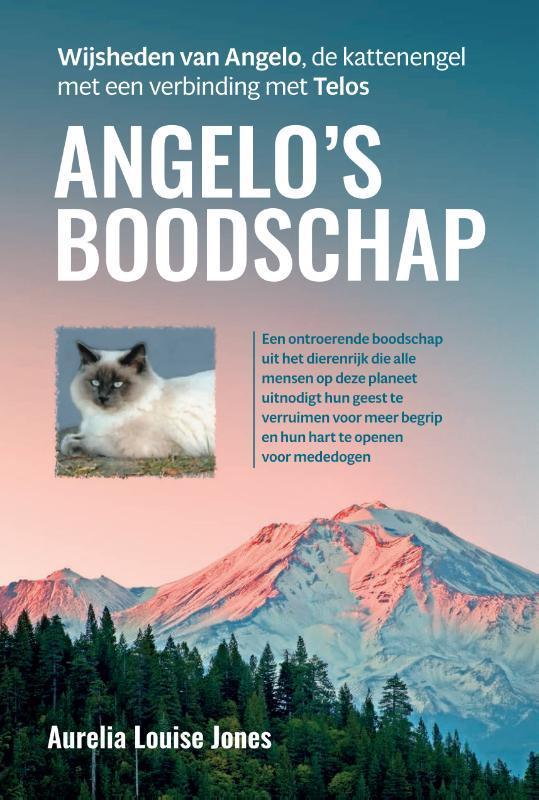 Angelo’s boodschap 9789460152078 Aurelia Louise Jones, Boeken, Esoterie en Spiritualiteit, Gelezen, Verzenden