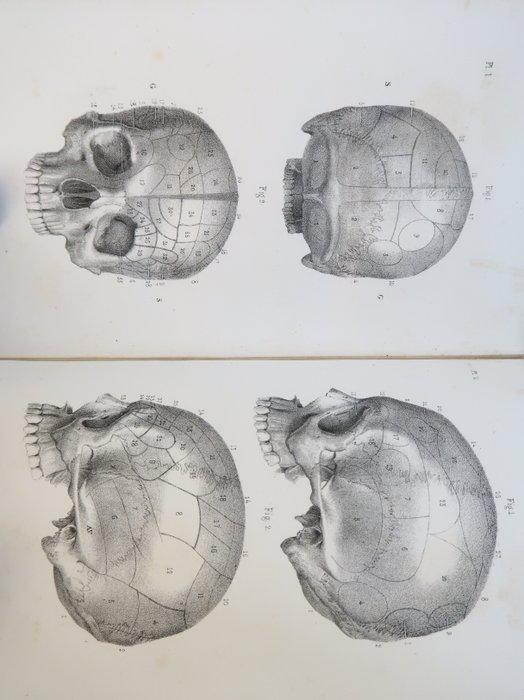 Louis- Francisque Lélut - La phrénologie. Son histoire, ses, Antiek en Kunst, Antiek | Boeken en Manuscripten